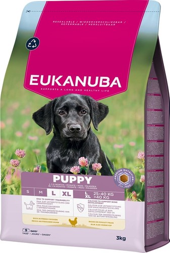 Eukanuba puppy crocchette per - crocchette,