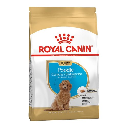 Poodle puppy alimento - puppy, 3