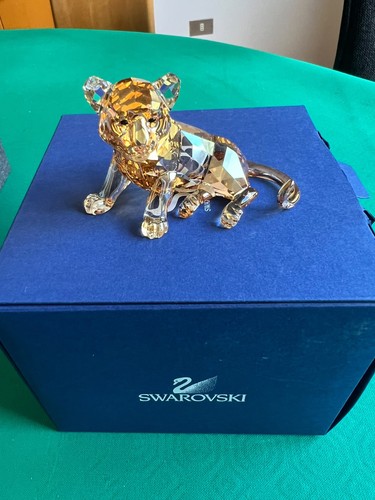 Baby tiger cucciolo - tiger/,