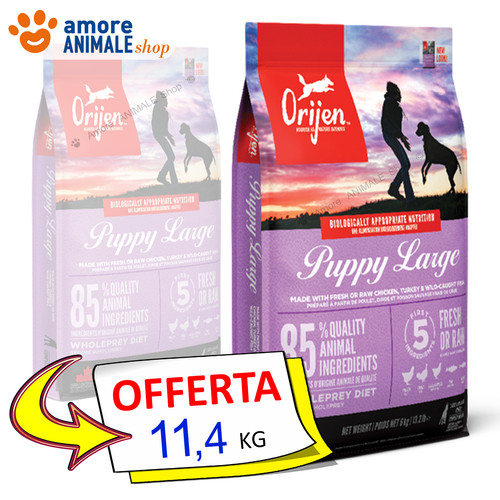 Orijen dog puppy - large,