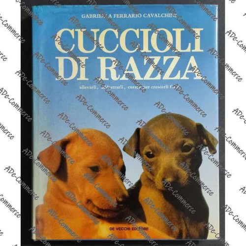 Cuccioli razza g f - -,