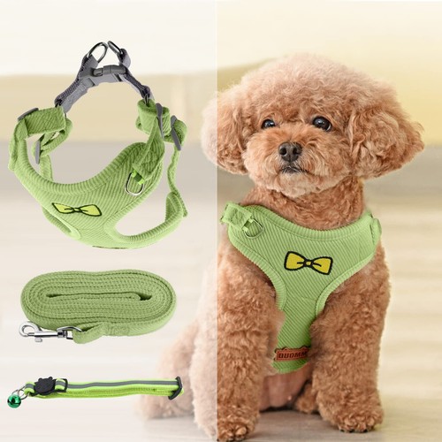 Pettorina cani piccola - cani,
