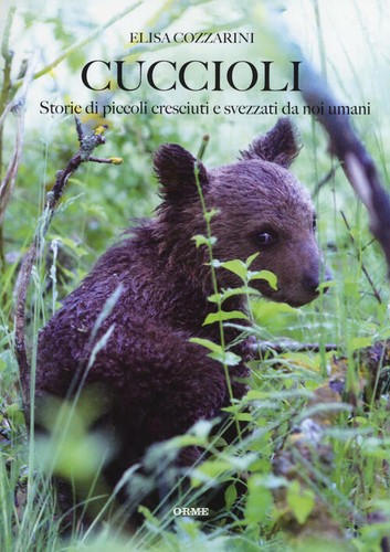 Cuccioli storie piccoli - storie,