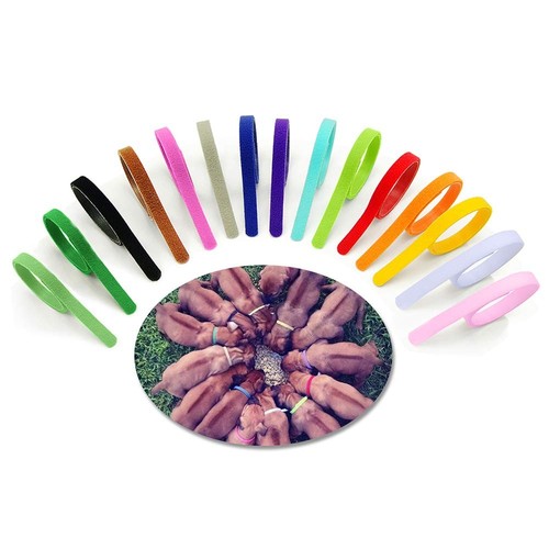 Pezzi collarini cuccioli - pezzi,
