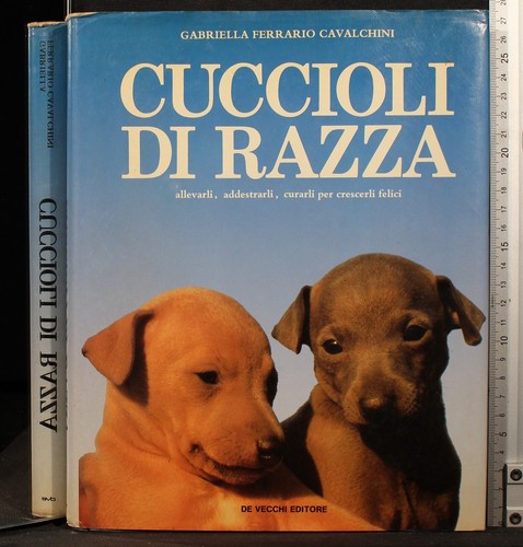 Cuccioli razza ferrario - cuccioli, di