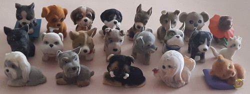 Cuccioli cerca amici - cerca,
