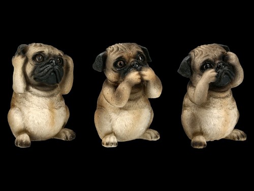 Tre cani mops - cani,