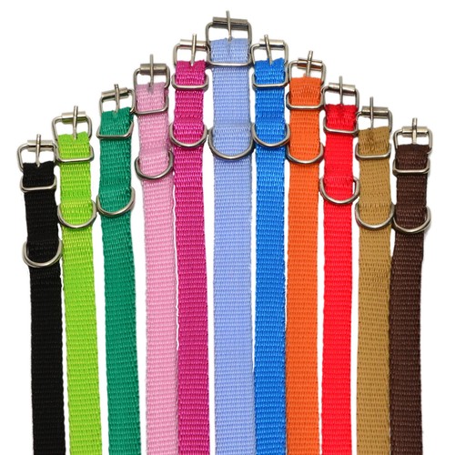 Collari nylon per cuccioli - in,